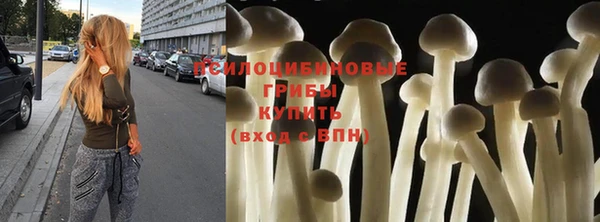 эйфоретик Алексеевка