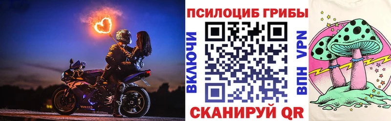 Галлюциногенные грибы Psilocybine cubensis Урюпинск