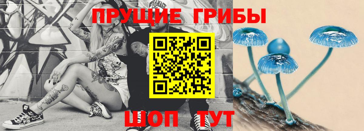 Псилоцибиновые грибы мухоморы  Вход с VPN  Урюпинск  Галлюциногенные грибы мухоморы 